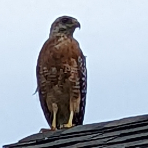 Meet your Posher, Jeff - Picture 6 of 7